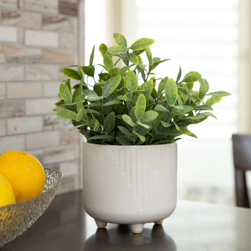 9.5'' Faux Eucalyptus Plant in Ceramic Pot