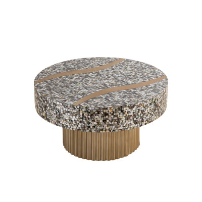 Tashya Mother of Pearl Coffee Table