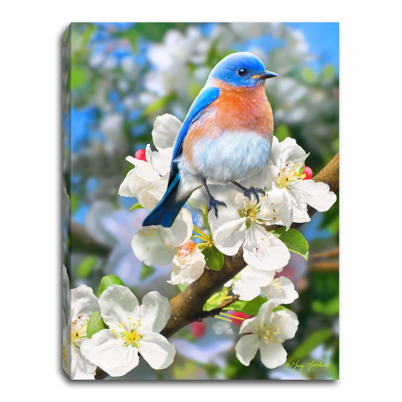 Bluebird 8x6 Mini Lighted Easel Back Canvas