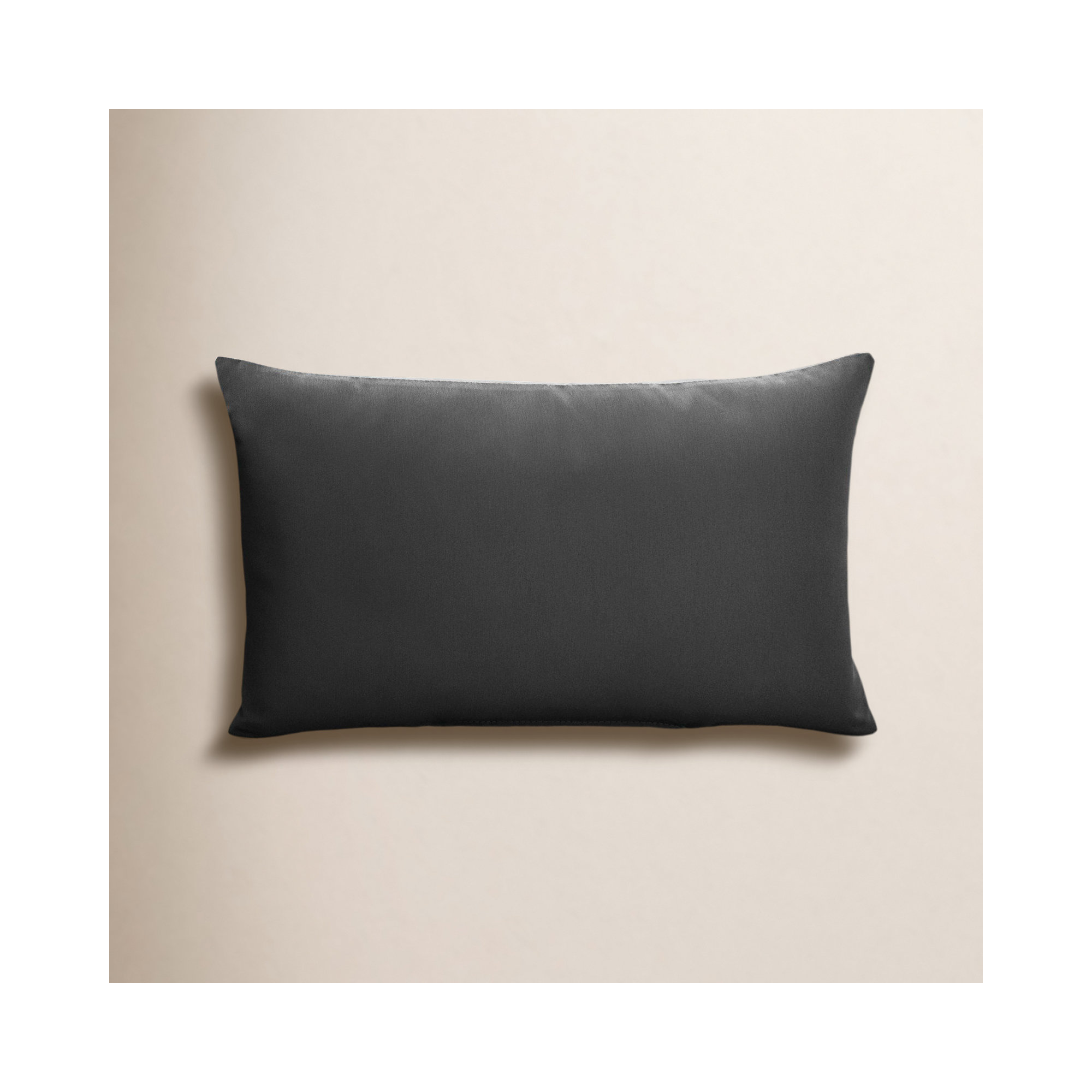 Almeda Indoor/Outdoor Lumbar Throw Pillow, 14" x 24", Charcoal