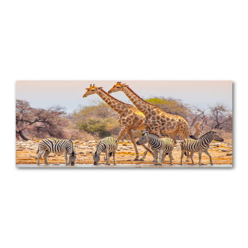 Giraffes And Zebras - Wrapped Canvas Print
