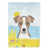 Jack Russell Terrier (Light Brown)