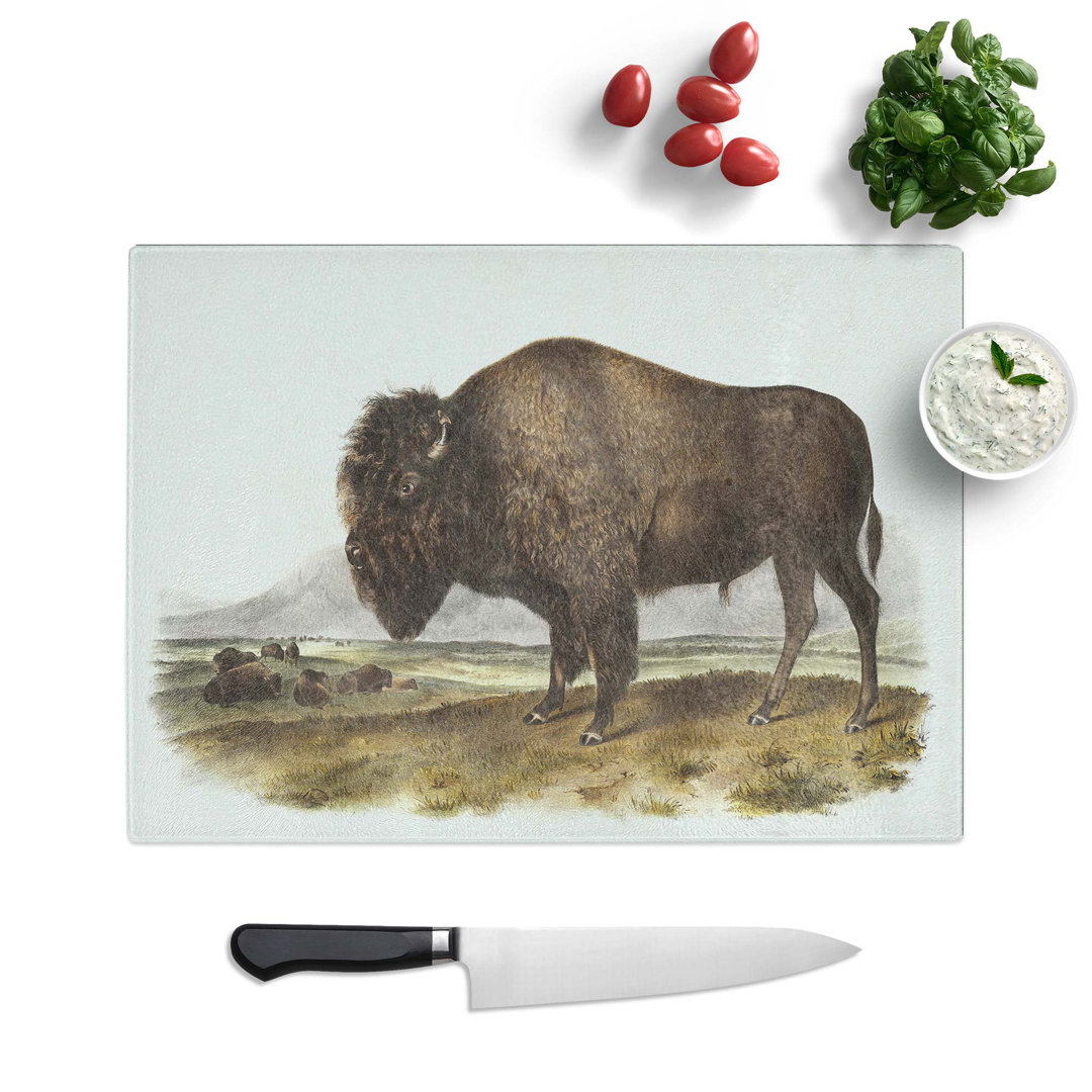 Tempered Glass an American Bison Chopping Board