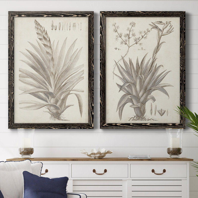 Sépia plantes exotiques III - ensemble de 2 reproductions de dessins encadrés, Toile avec cadre noir