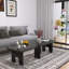 Ensemble de tables basses gigognes Modern Modern