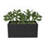 Bedfo 6,95 po plante succulente en pot en céramique