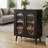 2 Door Sun Panel Elevated Shoe Cabinet USB 7 Color LED 4 Tier 26.77" W-1670770116