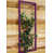Aubergine
