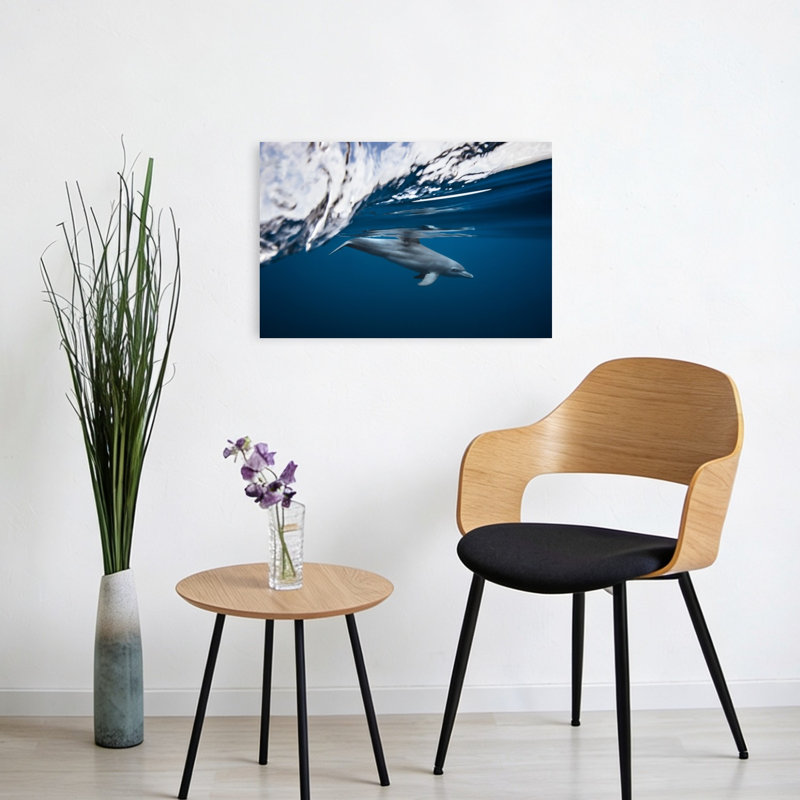 Underwater Dolphin Swim Peaceful Serene Tranquil Dolphin Nature Ocean Wall Art Print 1 Piece Wrapped Canvas Wall Art