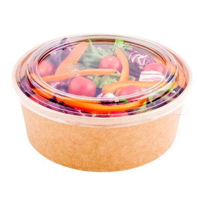 Bio Tek Disposable Tableware