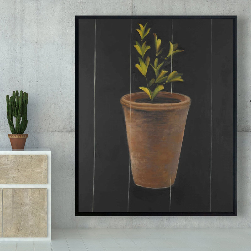 Plant Of Marjolaine Print On Canvas