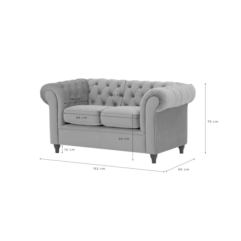 Burks 2 Seater Velvet Loveseat, Mustard
