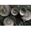 Wolverton Piece Porcelain China Dinnerware Set - Service for 6