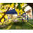 ABCCANOPY 10 Ft.W x 10 Ft.D Central Lock-Series Outdoor Pop Up Canopy Tent-58238579