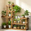 5 Tier Plant Stand