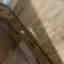 Photos des clients 3 de 3