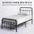 Hidalgo Metal Platform Bed-118303749-118303750