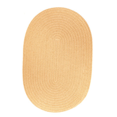 Smyth Hand Braided Synthetic Indoor Rug