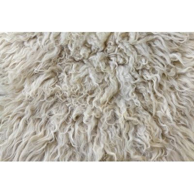 Sheepskin by Barcin