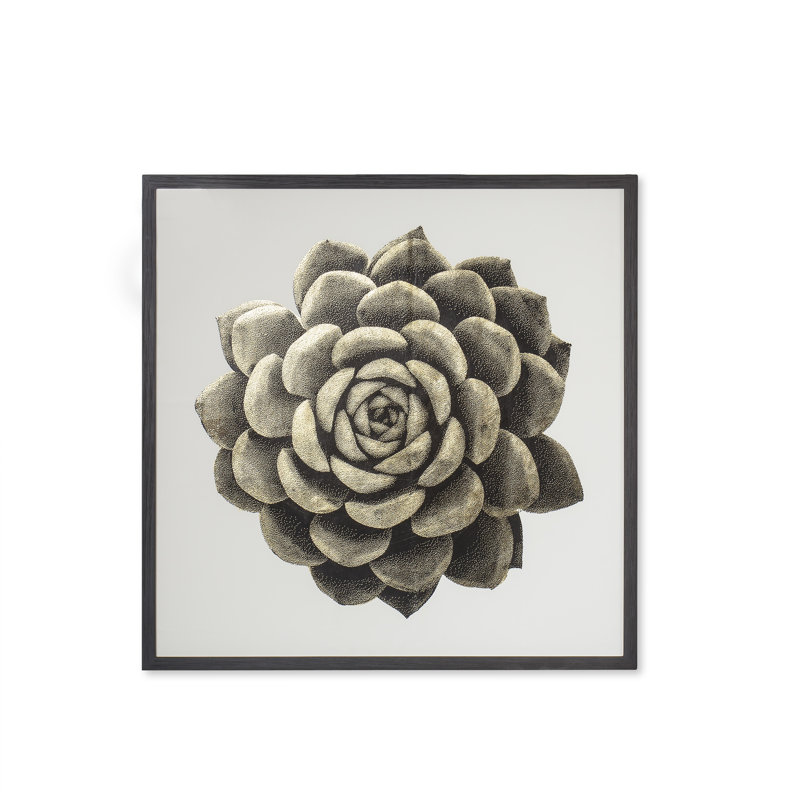 Gold Succulent B Print