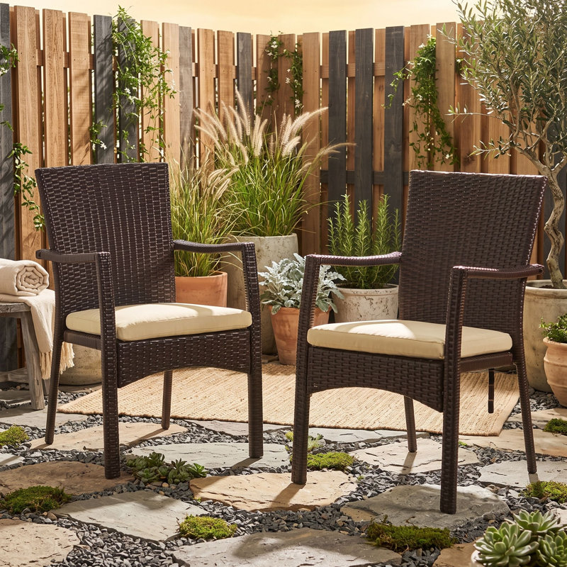 Ensemble de 2 chaises de jardin en osier corse