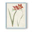 Fleurs des saisons IV, reproduction encadrée - bois massif-1068026465-1068026466