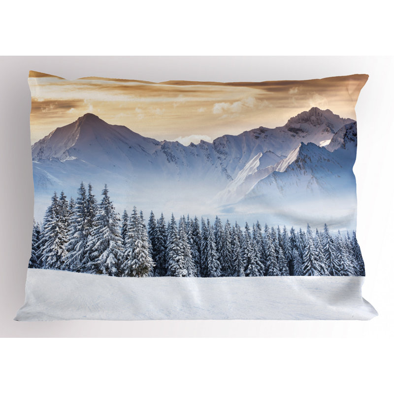 Brown/Gray Polyester Microfiber Piece Sham, Twin