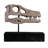 Raptor Dinosaur Skull Life Size Statue