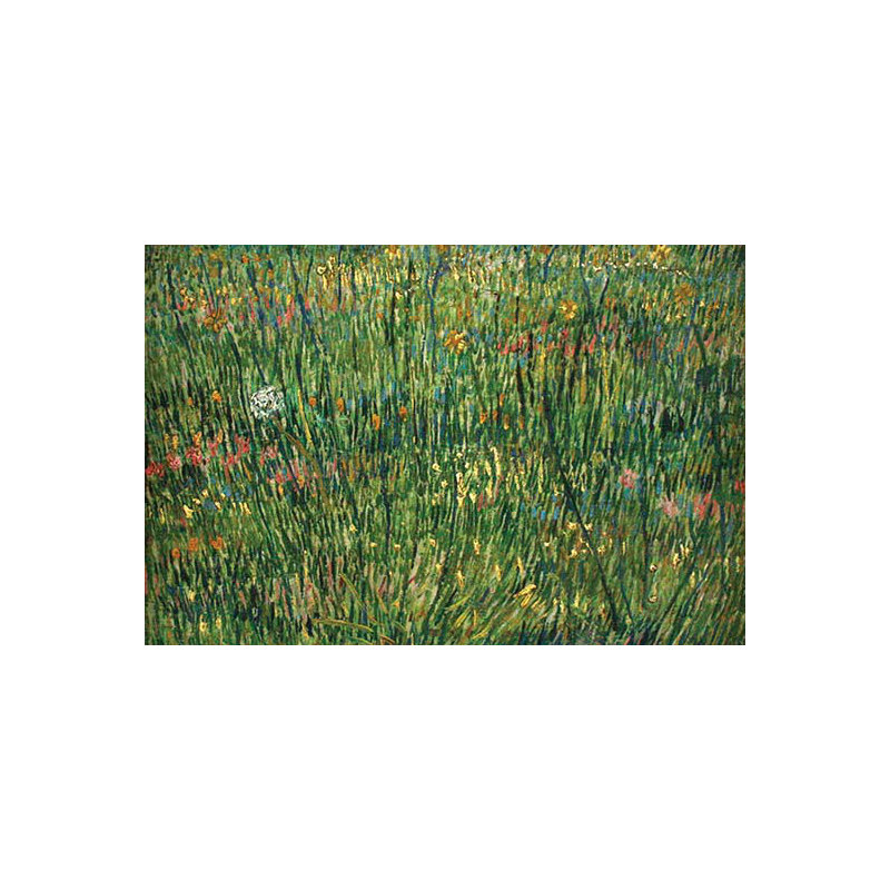 "patch of grass" par vincent van gogh-impression, H 28 po x l 42 po x P 1,5 po