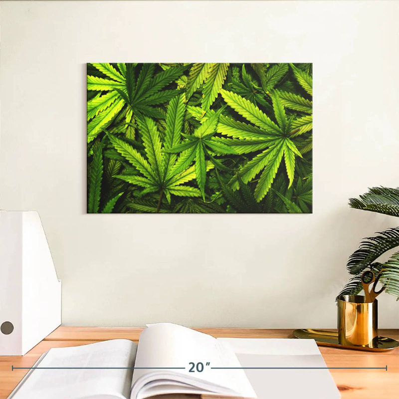 Jardin de feuilles de marijuana, H 8 po x l 12 po