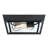 Peterson 12-Inch Outdoor Ceiling Fixture, Textured Black Finish with Clear Glass
