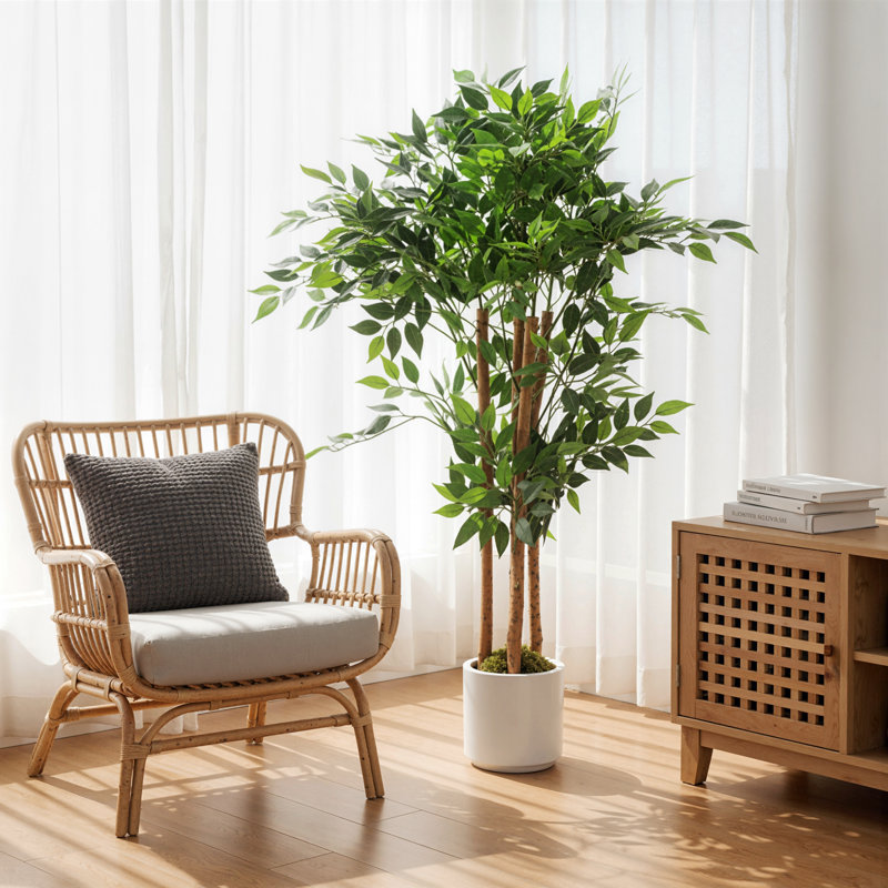 Plant, 120 cm x 55 cm