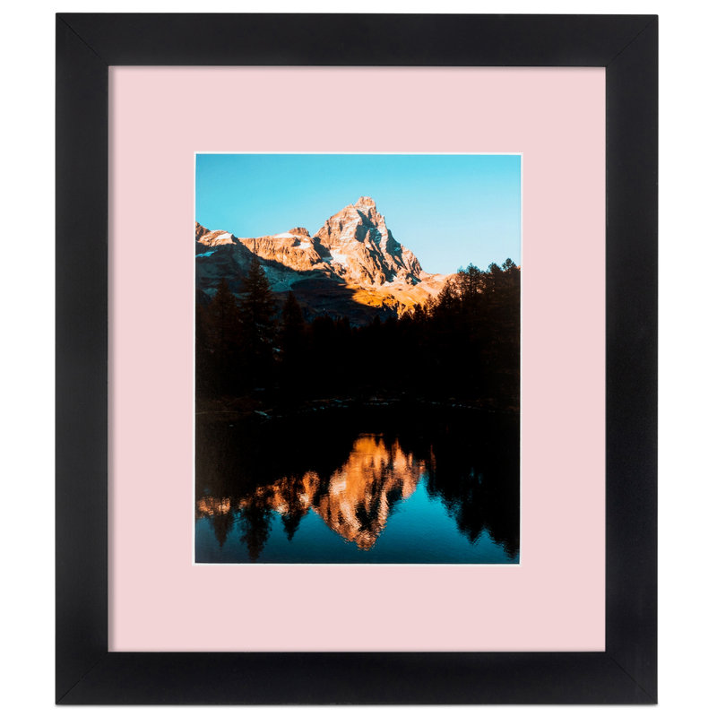 Cadre pour photo simple 18 po x 36 po en bois mat, Rose trémière