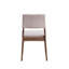 Chaise d'intérieur, ensemble de 2 chaises d'appoint d'intérieur, chaise rembourrée sans accoudoirs, chaises de salle à manger pour la maison