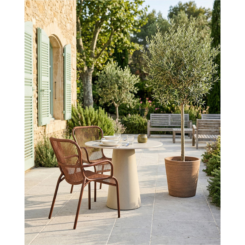 Loop Dining Chair Rope Rust