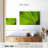 Harnek Fan Palm Leaf-108821791