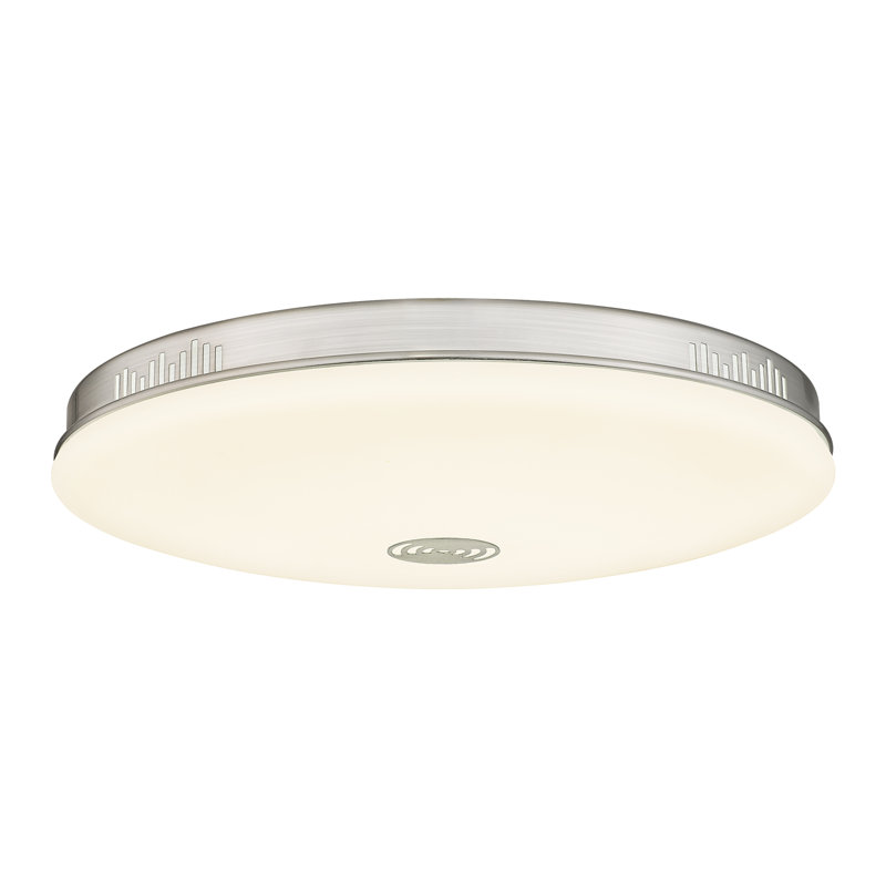 Verinica Plastic LED Flush Mount
