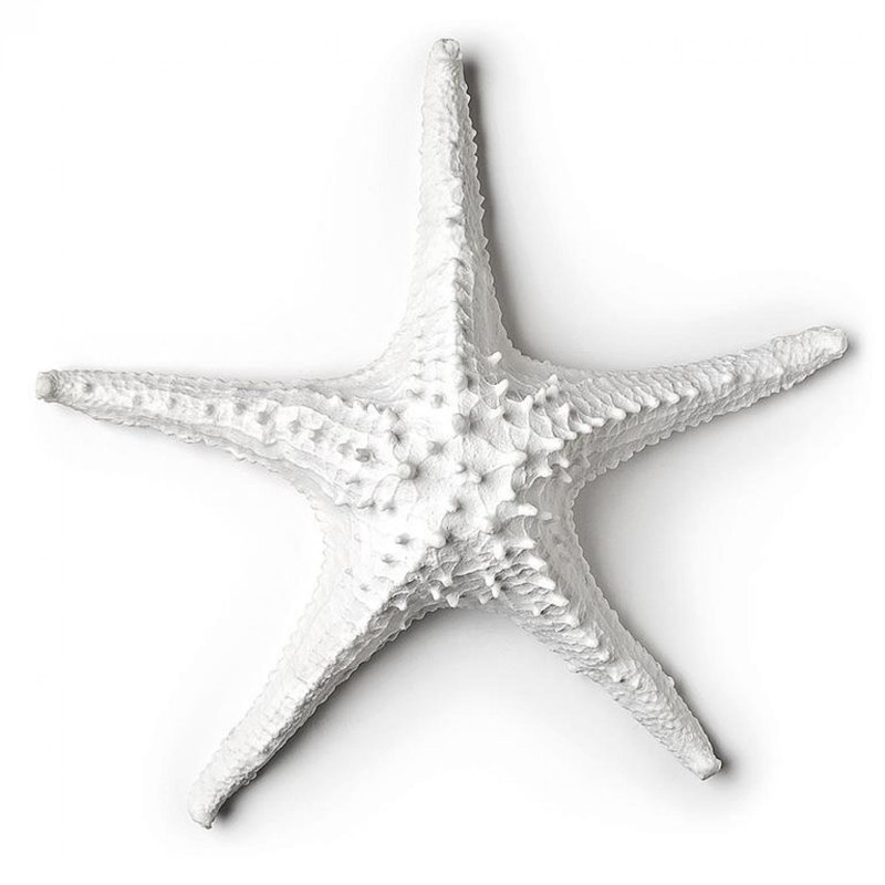 3D Starfish Decoration, 13.78" H x 13.58" W x 3.94" D