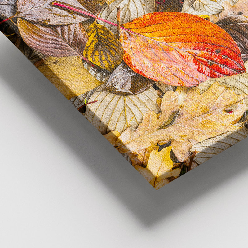 Peinture décorative sur toile
