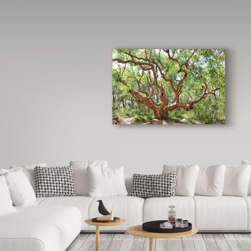 «Large Tree» de Yareny, reproduction de photo sur toile tendue, H 12 po x l 19 po x P 2 po
