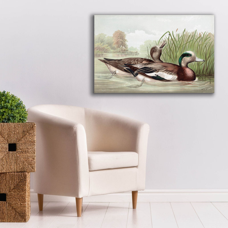  «Resting Duck 1» par Stellar Design Studio, art mural sur toile, 40 po x 26 po
