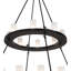 24 - Light Chandelier
