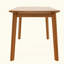 Table de salle à manger Mid Century