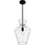 Luminaire suspendu 1 lumière Hollis-1626961803