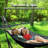 Hammock