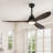 52" 3-Blade Smart LED Ceiling Fan with Dimmable Light and Remote Control-1186187574-1175352003
