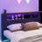 Wood Daybed With Trundle,Desk,LED Light And USB-794319818-794319817