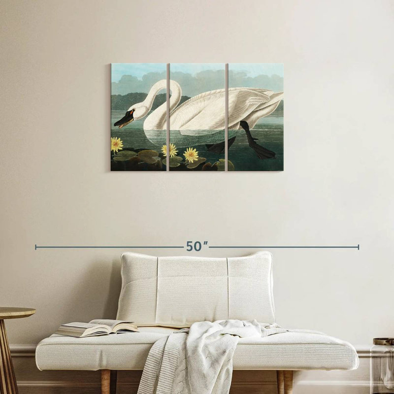 Brampt Common American Swan, 20" H x 33" W