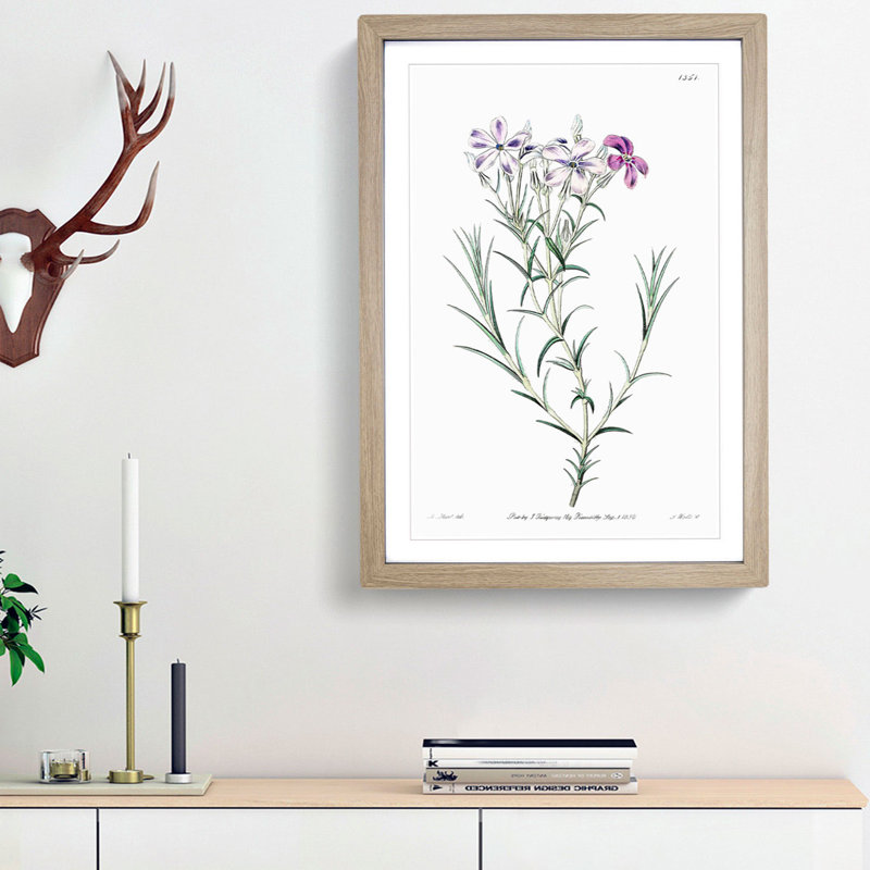 Purple Phlox Flowers - Framed Print, 48cm H x 36cm W x 2cm D, Oak Framed