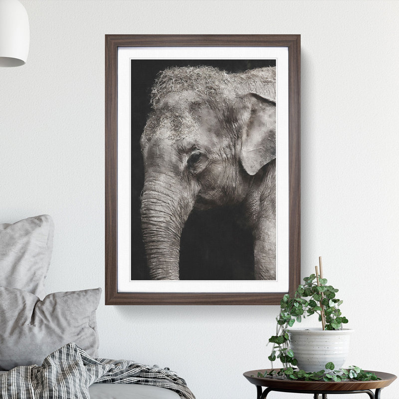 Elephant Vol.3 - Picture Frame Graphic Art, Walnut Framed, 65cm H x 48cm W x 2cm D